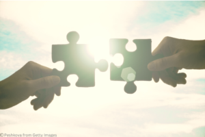 strategic relationship puzzle pieces