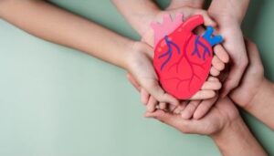 A photo of a realistic cartoon heart being held by two pairs of hands, symbolizing taking care of your client's survivability and heart health